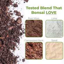 Bonsai Soil By Perfect Plants - 2qts. | Premium All-Purpose Mix Bonsai Tree Varieties - As Pic - View 2