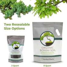 Bonsai Soil By Perfect Plants - 2qts. | Premium All-Purpose Mix Bonsai Tree Varieties - As Pic - View 4