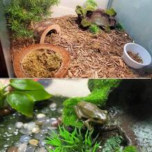 Plastik Reptilien Habitat Deko - Harz Reptilien Plattform, künstlicher Baumstamm Design - geeignet für Eidechsen, Geckos, Frosch Futterschalen, Schlangen Versteck, Einsiedlerkrebs Deko, Reptilien Terrarium