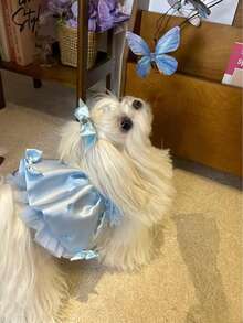 Robe de princesse en tulle avec nœud en strass fait main pour animaux de compagnie (à l'exclusion des accessoires pour cheveux) - Bleu azur - Voir 9