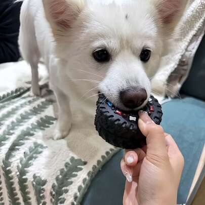 Pet Chew Squeaky Tire | Anti-Depression Self-Entertaining Dog Toy | Small Dog Teeth Grinding & Cleaning Training Tool, Pet Dog Rubber Tire Toy Squeaky Teeth Grinding Cleaning Puzzle Chew Supplies