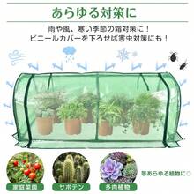 ビニールハウス 家庭用 ビニール温室 温室 ガーデンハウス ミニ フラワーハウス 家庭菜園 1段 横長 小型 簡易温室 菜園 花壇 雨よけ 霜よけ 便利 DIY おしゃれ - グリーン - チェックする 3