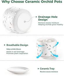 KF-Plant AccessoriesOrchid Pot With Holes, 5+6Inch Ceramic Plant Pots With Drainage Holes And Tray, Promoting Air Circulation And Drainage, Indoor/Outdoor White Flower Potsplant Garden - 白色-2 - 查看 3