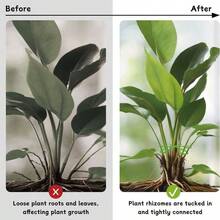 4PCS Turtle-Backed Bamboo Holder, Supporting Anti-Lodging Spring Feather Bracket Branches, Closing Flower Pot Frame Gardening Flowers Arum Green Plants