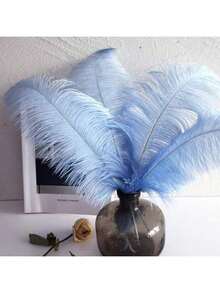 5 件/套天然彩色羽毛，DIY 工艺用品，适用于婚礼、墙面装饰、生日派对、圣诞节、新年礼物 - 彩色 - 查看 3