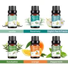 10Ml Essential Oil, Aromatic Essential Oils For Diffusers, Humidifiers, Candle Making, Soap Scent, Orange, Rosemary, Tea Tree Scent, Ideal For Home, Hotel, Restaurant - Black - View 2