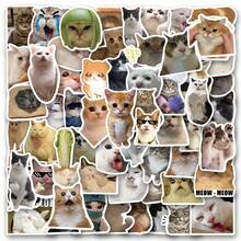 100张趣味猫咪贴纸，乙烯基材质，美观实用，适用于剪贴簿、日记本、笔记本电脑、保险杠、滑板、水瓶、电脑、手机、卡通、安全帽、汽车贴纸等，猫咪贴纸，猫咪表情包贴纸，可爱贴纸 - 彩色 - 查看 9
