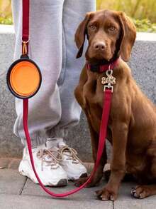 1pc 350ml/650ml Travel Portable Pet Bowl With Clip, Foldable For Drinking & Feeding Dog Outing Dog Stuff Dog Water Bottle Water Bottle