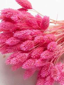 20/50/100pcs Gem Grass Dried Flowers, Assorted Colors, For Home Decor, Vase Decor, DIY Bouquets, Cake Decoration
