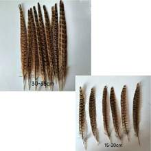 THARAHT 10pcs Women Round Neck Pheasant Feather, Natural Feathers 8-10 Inch/20-25cm, Suitable For Crafts, Home, Wedding, Party, Performance, DIY Decoration - Female Pheasant Feathers