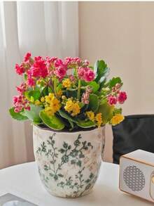 Ceramiczna doniczka z efektem spękania w stylu vintage – rustykalna doniczka w stylu wiejskim, idealna na sukulenty, wężownice, do ogrodu domowego i na balkon