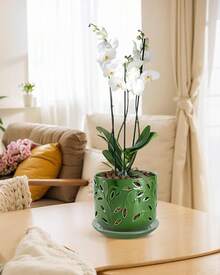 KF-Plant AccessoriesOrchid Pot With Holes, 5+6Inch Ceramic Plant Pots With Drainage Holes And Tray, Promoting Air Circulation And Drainage, Indoor/Outdoor White Flower Potsplant Garden - 綠色-1 - 查看 6