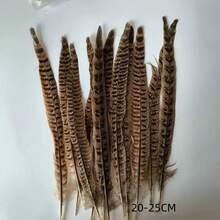 THARAHT 10pcs Women Round Neck Pheasant Feather, Natural Feathers 8-10 Inch/20-25cm, Suitable For Crafts, Home, Wedding, Party, Performance, DIY Decoration - Female Pheasant Feathers