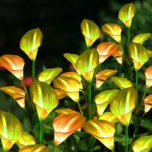 10 PCS 5-Head Calla Lily Solar Lights, Outdoor, Garden, Pathway Decor, Illumination (White, Red, Purple, Blue, Yellow) - 5頭馬蹄蓮 - 查看 9