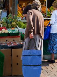 2-In-1 Lightweight Foldable Shopping Cart, Foldable Trolley With Wheels, Reusable Shopping Bag, Unisex Travel Bag, Home And Kitchen Supplies, Portable Rolling Shopping Bag With Wheels, Waterproof Trolley. (Oxford Fabric, Rubber Wheels)
