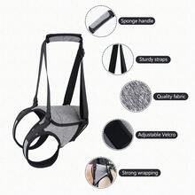 狗狗吊带，网格宠物后部支撑辅助器，兽医认可吊带，适用于老年犬，后腿臀部残疾关节损伤