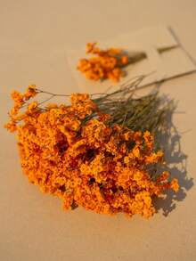 25/50/100/200/300 Stücke künstliche weiße Mini getrocknete Schleierkraut Blumen, Elfenbein Blumen Vase Füllung für Hochzeit, Zuhause, Büro, Party, Garten, Kartenherstellung, DIY Dekoration