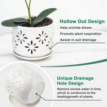 KF-Plant AccessoriesOrchid Pot With Holes, 5+6Inch Ceramic Plant Pots With Drainage Holes And Tray, Promoting Air Circulation And Drainage, Indoor/Outdoor White Flower Potsplant Garden - 白色-1 - 查看 3
