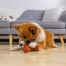 Outward Hound Dogwood Wood Durable Dog Chew Toys, Real Wood &Amp; Calming Hemp, 2-Pack, Medium - ColorD - 查看 7