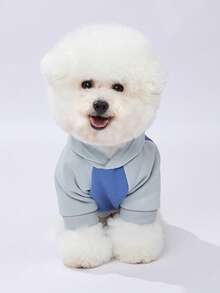 LUCKIE LABO 1pc Color Block "NICE FACE" Slogan & Pet Graphic Polyester Hoodie, Anti-Flea, Reduce Shedding, Warm & Breathable For Indoor/Outdoor Cat & Dog