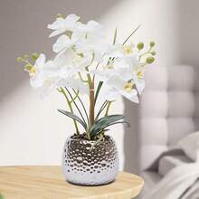 24 Stems Of White Silk Orchids, EXTRA REALISTIC With Ceramic Pot (30cm Height), Easy-Care Artificial Flowers For Windowsills/Living Rooms/Offices, Frost- And UV-Resistant - 白色 - 查看 7