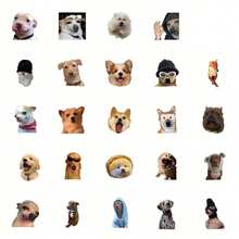 50 个/包可爱宠物小狗表情包涂鸦贴纸，卡通搞笑动漫美学标签贴纸包适用于笔记本电脑、乐器装饰、剪贴簿、自粘密封文具卡片信封、万圣节圣诞节礼物用品、青少年派对奖励激励 - 彩色 - 查看 3
