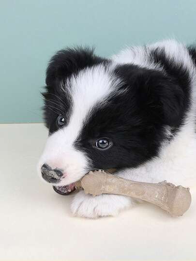 عظم مضغ للكلاب، لعبة عض، تقليل استهلاك الطاقة المنزلية والوقاية من التدمير