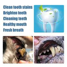 2pcs/Set Pet Tartar Remover, Teeth Whitening Pen, Dog & Cat Plaque Tartar Cleaning Tool, Pet Dental Cleaning Brush, Yellow Teeth & Bad Breath Cleaner, Dental Calculus Removal, Oral Foam Cleaner, Suitable For Small Dogs And Cats, 2 Styles Randomly Sent - Multicolor - View 5