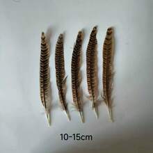 THARAHT 10pcs Women Round Neck Pheasant Feather, Natural Feathers 8-10 Inch/20-25cm, Suitable For Crafts, Home, Wedding, Party, Performance, DIY Decoration - Female Pheasant Feathers