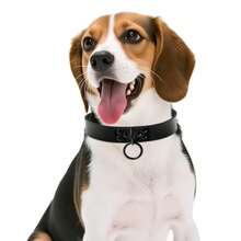 Adjustable Goth Style Exaggerated Leash Collar Necklace Accessory Set - Black - View 3