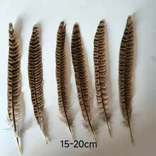 THARAHT 10pcs Women Round Neck Pheasant Feather, Natural Feathers 8-10 Inch/20-25cm, Suitable For Crafts, Home, Wedding, Party, Performance, DIY Decoration - Female Pheasant Feathers