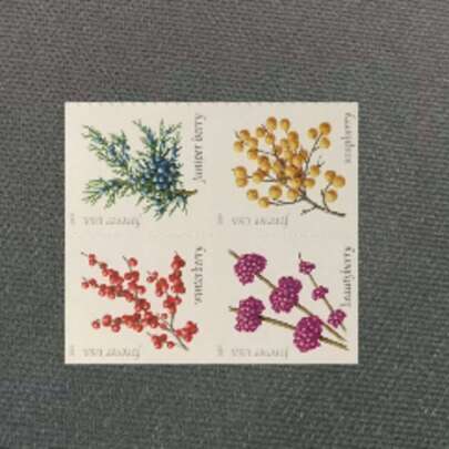 1 Pack/100 Pcs, 2019 Winter Berries, Botanical And Holiday Stamps. Warmth, Vitality, And Winter Colors Make This A Beautiful Decorative Sticker For Boyfriends, Girlfriends, Lovers, Couples, Best Friends, Enthusiasts, Collectors, And Teachers. Perfect For Christmas, Winter Holiday Cards, And Greeting Letters. Available In The US