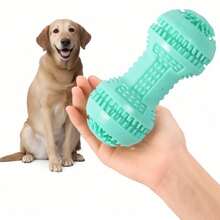 Durable Teeth Cleaning Dog Toy, Interactive Chew Toy For Boredom Relief, Suitable As Christmas Gift For Pets - Mint Green - View 2