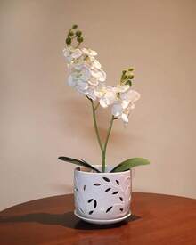 KF-Plant AccessoriesOrchid Pot With Holes, 5+6Inch Ceramic Plant Pots With Drainage Holes And Tray, Promoting Air Circulation And Drainage, Indoor/Outdoor White Flower Potsplant Garden - 白色-2 - 查看 7