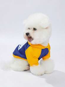 LUCKIE LABO 1 件拼色“NICE FACE”标语和宠物图案印花涤纶连帽衫，防跳蚤，减少脱落，保暖透气，适合室内/室外猫狗 - 黃色 - 查看 8