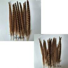 THARAHT 10pcs Women Round Neck Pheasant Feather, Natural Feathers 8-10 Inch/20-25cm, Suitable For Crafts, Home, Wedding, Party, Performance, DIY Decoration - Female Pheasant Feathers