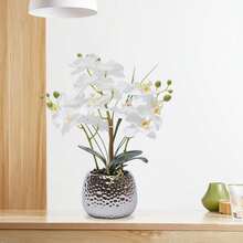 24 Stems Of White Silk Orchids, EXTRA REALISTIC With Ceramic Pot (30cm Height), Easy-Care Artificial Flowers For Windowsills/Living Rooms/Offices, Frost- And UV-Resistant - 白色 - 查看 1