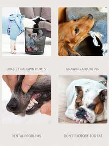 عظم مضغ للكلاب، لعبة عض، تقليل استهلاك الطاقة المنزلية والوقاية من التدمير