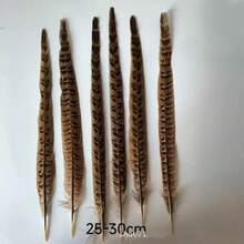 THARAHT 10pcs Women Round Neck Pheasant Feather, Natural Feathers 8-10 Inch/20-25cm, Suitable For Crafts, Home, Wedding, Party, Performance, DIY Decoration - Female Pheasant Feathers