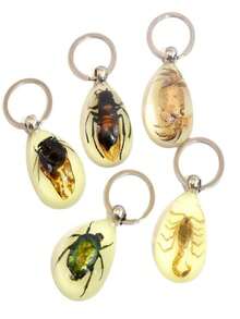 Glow-In-The-Dark Encapsulated Real Cicada, Crab, Spider, Scorpion Keychain. Symbolic Backpack Pendant, Water Drop Shaped Real Insect Specimen Desk Toy, Car Decor, Office Decoration, Wall Art, Versatile Keychain, Unique Artistic Gift - Multicolor - View 8