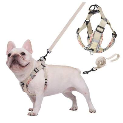 Fashion Printed Dog Harness And Leash Set, Breathable Mesh With Reflective Details, Escape-Proof & Comfortable For Small To Medium Dogs Like French Bulldogs, Durable Walking Gear For Outdoor Adventures, Essential Pet Accessory For Stylish Walks