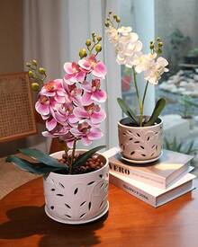 KF-Plant AccessoriesOrchid Pot With Holes, 5+6Inch Ceramic Plant Pots With Drainage Holes And Tray, Promoting Air Circulation And Drainage, Indoor/Outdoor White Flower Potsplant Garden - 白色-2 - 查看 6