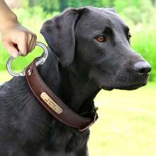 1pc O-Ring Stainless Steel Spring Snap Hook, 4500lbs Load Capacity, With Spiral Lock Fastener, Equipment Connector Ring, For Hammock, Travel, Cycling Backpack, Pet Leash - Durable Metal Industrial Style