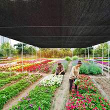 1pc Black Anti-UV HDPE Sunshade Net Garden Succulent Plant Shading Net Outdoor Sun Shade Net