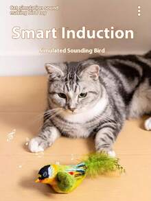 猫咪逗猫棒，带吱吱叫声的鹦鹉造型羽毛逗猫棒，互动式自玩玩具 - 彩色 - 查看 3