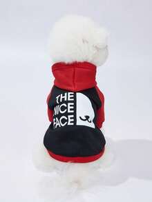 LUCKIE LABO 1 Stück Farbblock "NICE FACE" Slogan & Haustier Grafik Muster Polyester Hoodie Sweatshirt, Anti-Floh, Reduziert Fellverlust, Warm & Atmungsaktiv für Katzen & Hunde für drinnen/Outdoor - Schwarz - Übersicht 6
