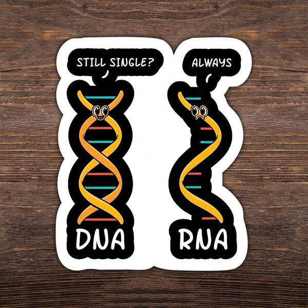 1 PIEZA Pegatina de 3 pulgadas "ADN: Soltero y ARN: Siempre", con diseño divertido para estudiantes, científicos y moléculas emocionalmente retorcidas. Perfecto para diarios, portátiles, botellas de agua y cualquiera que se sienta biológicamente inestable pero icónico