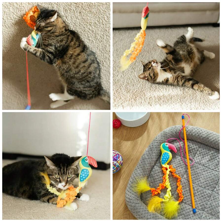 Parrot Teaser Wand Cat Toy With Catnip, Multicolor, 18"