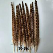 THARAHT 10pcs Women Round Neck Pheasant Feather, Natural Feathers 8-10 Inch/20-25cm, Suitable For Crafts, Home, Wedding, Party, Performance, DIY Decoration - Female Pheasant Feathers