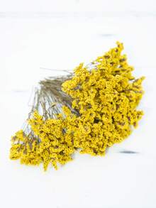 Gelbes Kristallgras 1